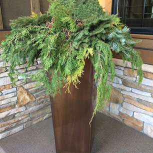 Transitional entry planter